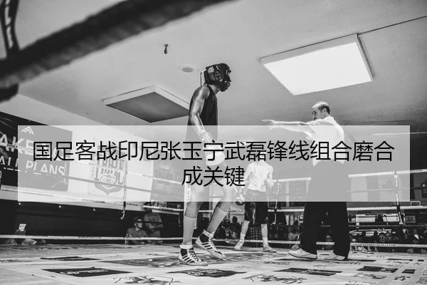 国足客战印尼张玉宁武磊锋线组合磨合成关键